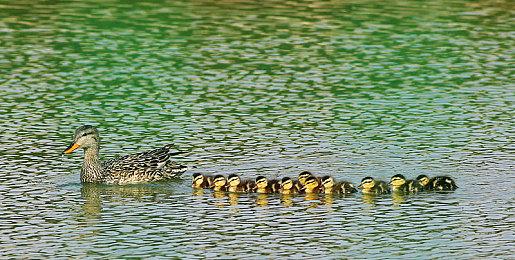 《心灵杀手：复刻版》IGN 7分 相当没有必要的升级